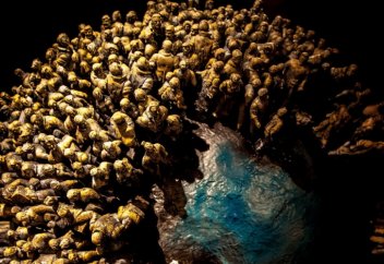 Конец эпохи непуганых идиотов. Чему нас научит пандемия COVID-19