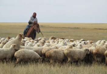 ТУРКЕСТАНСКАЯ ОБЛАСТЬ – ЛИДЕР ПО РОЖДАЕМОСТИ И ПО БЕДНОСТИ В КАЗАХСТАНЕ