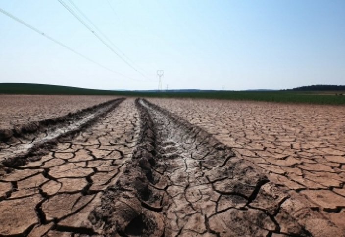 Развивающиеся страны, зависящие от сельского хозяйства, более подвержены климатическим рискам