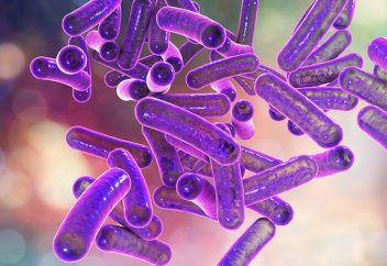 Антибиотиктің орнына «улы жебе» бактериясы...