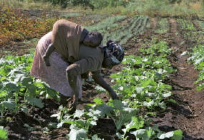 Топ-10 фактов о бедности в Зимбабве