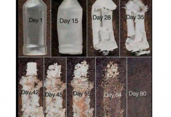 16 сағат ішінде пластикті ыдырататын фермент табылды. Пластикті қорек етіп қорытатын құрт табылды