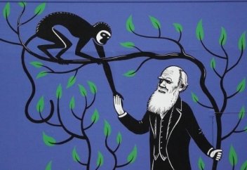 Адам маймылдан емес, маймыл адамнан азған!