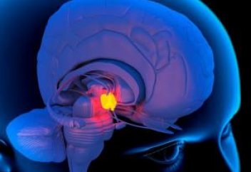 Ученые объяснили, почему люди ежедневно засыпают и просыпаются