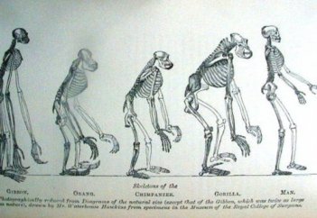 ДАРВИН ТЕОРИЯСЫ АТЕИЗМ РУХЫ (Агностиклер)