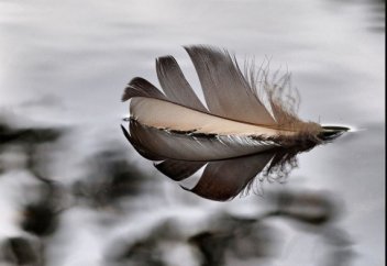 "Пока не увижу не поверю" сказал ИУДЕЙ  "Пока не поверишь не увидишь" сказал МУСУЛЬМАНИН