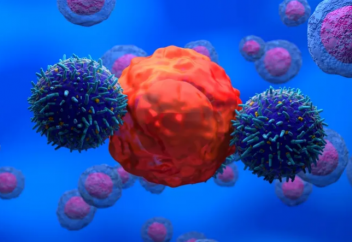 Қатерлі ісікпен күресетін иммунитет жасушасының күш-қуатын қалпына келтіретін әдіс табылды