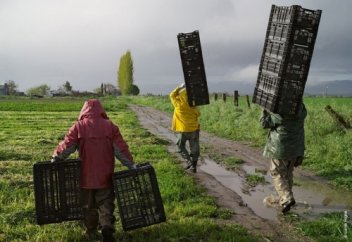 Глубокая работа с помидором. Как научиться эффективно трудиться: современные стратегии