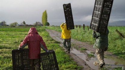 Глубокая работа с помидором. Как научиться эффективно трудиться: современные стратегии