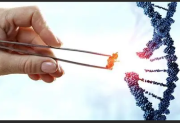 Жапонияда гендермен өңделген ұрықты имплантациялауға заң жүзінде тыйым салынады