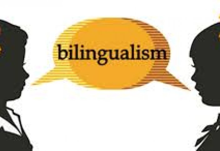 Билингв. Билингвизм. Билингвизм картинки. Билингвистический подход. Билингвизм картинки для детей.