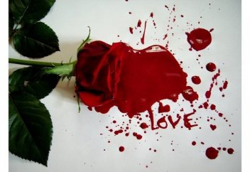 О прелюбодеянии и великом терпении