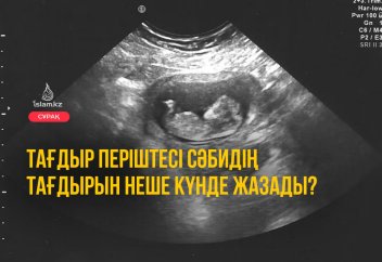 Сәбидің тағдырының жазылуы