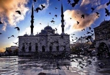 Заманына сай Арманы