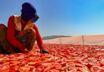 Опасный урожай