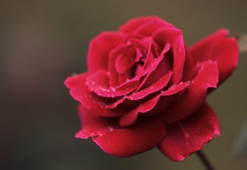 Удивительный поступок Аиши, да будет Аллах ею доволен