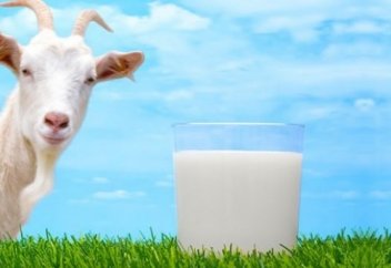 Ешкі сүті көптеген дертке ем