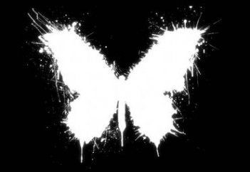 Биологи из России и Германии раскрыли необычные аспекты в работе водных экосистем