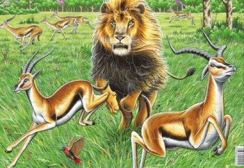 "Құралай ғұмыр"