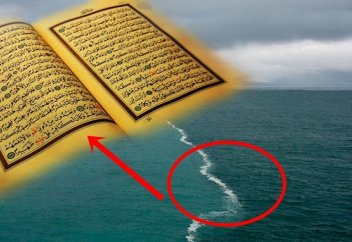 Суд оштрафовал мужчину за публикацию видеоролика «Чудеса Корана»