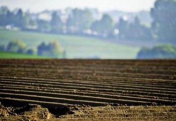 Әлемдегі ауыл шаруашылығына жарамды жердің әлеуеті тағы 800 млн адамды асырауға жетеді