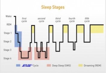 Ерте жатып ерте тұру үшін пайдалы құралдар