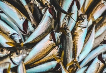 Меню смерти: самая опасная еда, которая существует на планете