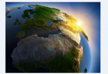 Қандай апат келсе де аман қалатын жануарлар мен жәндіктер (фото)