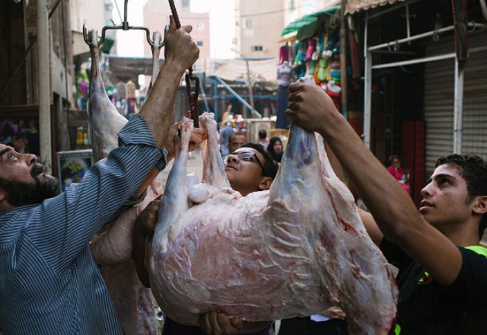 Египет в десять раз повысил штрафы за забой животных на улицах