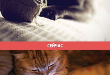 10 картинок о том, как изменился мир