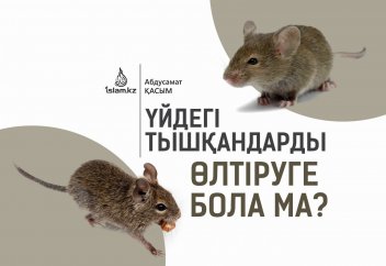 Үйдегі тышқандарды өлтіруге бола ма?