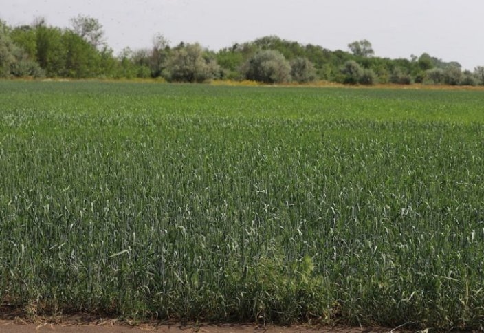 Жалға алуға болатын жер көлемі ұлғайтылды