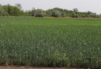 Жалға алуға болатын жер көлемі ұлғайтылды