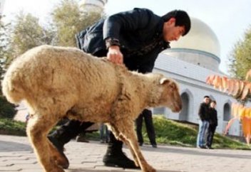 Құрбан шалу кімге уәжіп?