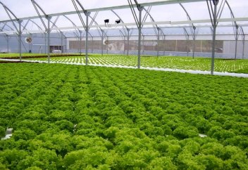 Ауыл шаруашылығына құйылған инвестиция мөлшері мүлдем сын көтермейді