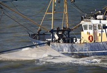 Обнаружен неучтенный источник загрязнения атмосферы