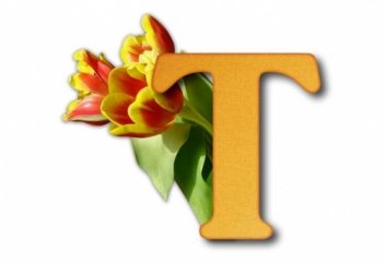 "Т" дан тұратын туынды