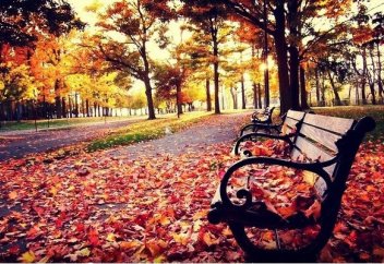 Есімнің адам болашағына әсері бар ма?