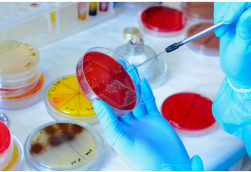 Пайдалы саңырауқұлақтарды (паразит) жойып алмай тек зияндыларымен күресетін тәсіл табылды