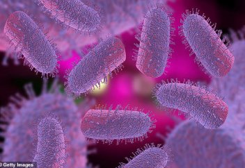 Мужчина заразился бешенством от донорского органа, инфицированного 100% смертельной болезнью