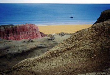 Шведская газета рассказала о "российском следе" в катастрофе Аральского моря