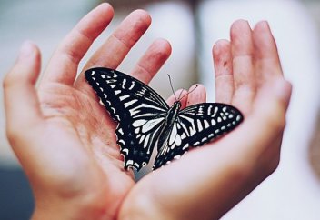 Притча. Мастер