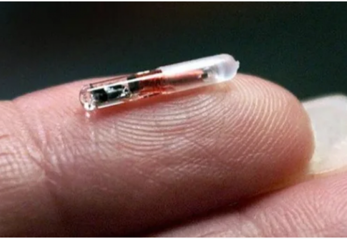 RFID-чип дегеніміз не? (фото+видео)