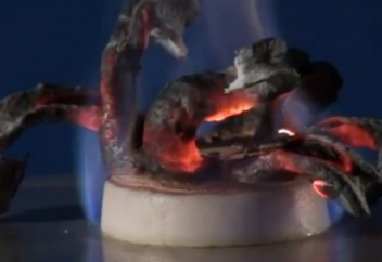 Научное открытие по мотивам аята из Корана (ВИДЕО)