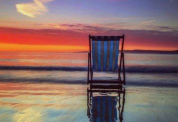 Тірі жан жоқ аралдағы жалғыз тіршілік иесі де өлді (фото+видео)