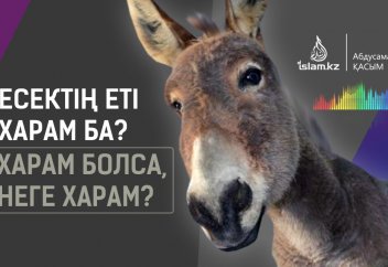 Есектің еті харам ба? Харам болса, неге харам?