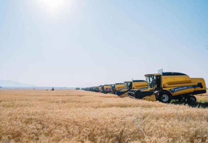 В Эфиопии зафиксирован впечатляющий урожай пшеницы в годовом исчислении, говорит премьер-министр Абий