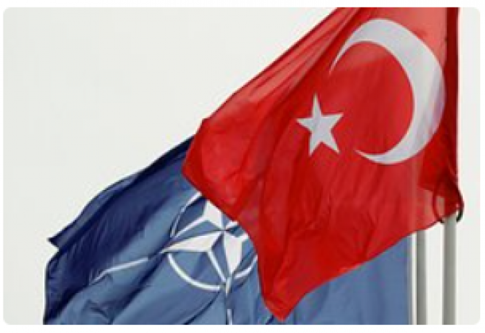 В Европе сравнили значимость Турции и Швеции для НАТО