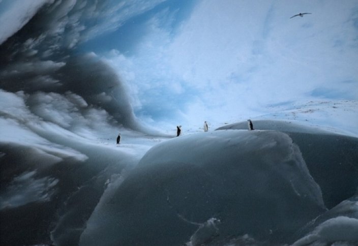 Әлемдегі ең байырғы мұзтаулар (фото)