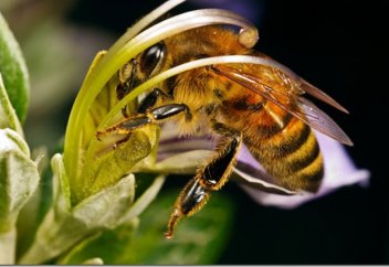 Ара экспорттаушы Еуропадағы аса ірі елдің өткен жылғы табысы